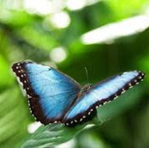 Meet your Posher, Abigail